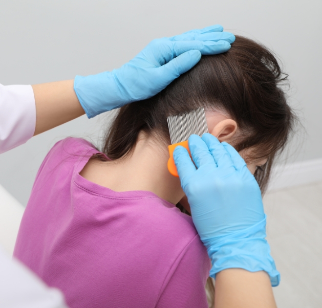 Professional lice treatment specialists in Dubai and Sharjah